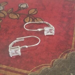 Elegant Silver Drop Earrings